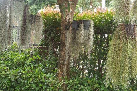 Maison à Chiang Mai, Thaïlande 4 chambres № 156070 - photo 4