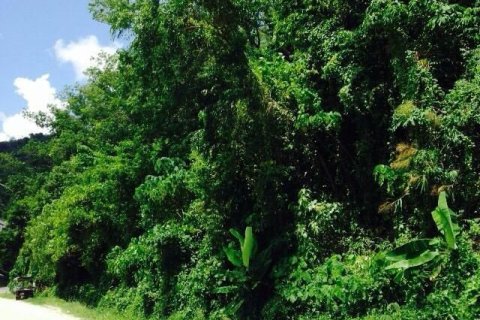 Land in Kathu, Thailand 29198.8 sq.m. № 148902 - photo 6