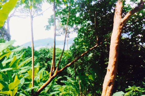 Land in Kathu, Thailand 29198.8 sq.m. № 148902