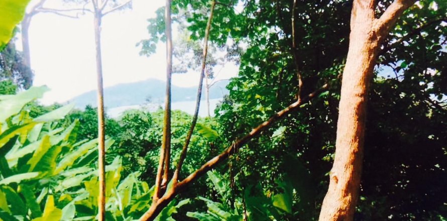 Land in Kathu, Thailand 29198.8 sq.m. № 148902