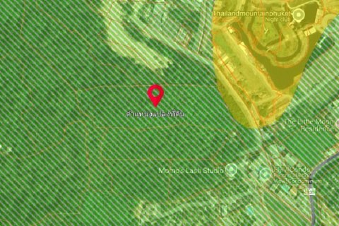 Land in Kathu, Thailand 29198.8 sq.m. № 148902 - photo 5