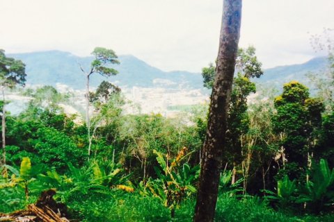 Land in Kathu, Thailand 29198.8 sq.m. № 148902 - photo 2