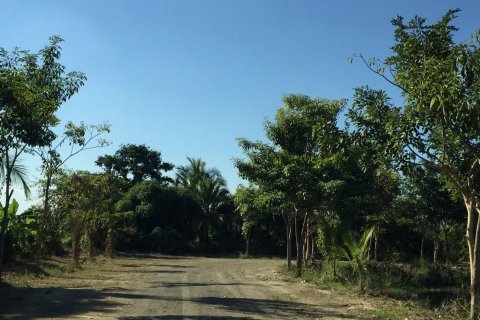 Terrain à San Pa Tong, Thaïlande 56000 m2 № 148905 - photo 7
