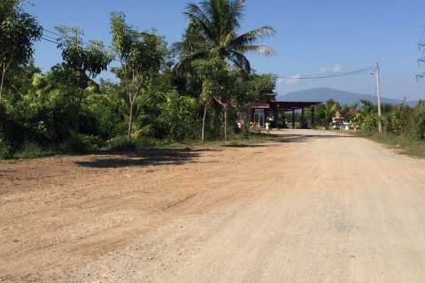 Terrain à San Pa Tong, Thaïlande 56000 m2 № 148905 - photo 6