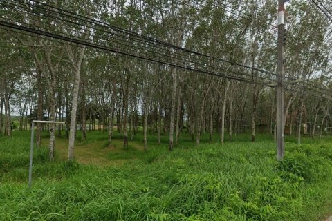 Land in Pa Klok, Thailand 67200 sq.m. № 148907 - photo 3