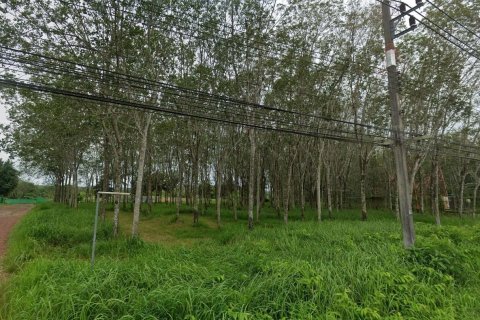 Land in Pa Klok, Thailand 67200 sq.m. № 148907 - photo 4