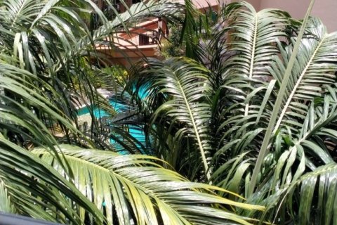 Condo à Pattaya, Thaïlande, 1 chambre  № 205451 - photo 3