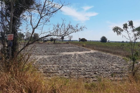 Terrain à Amnat Charoen, Thaïlande 68800 m2 № 160405 - photo 3