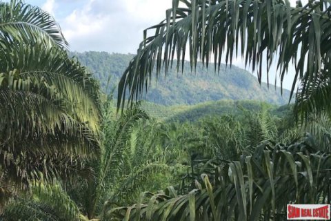 Terrain à Phang Nga, Thaïlande 67200 m2 № 193628
