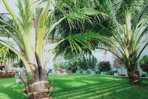 Дом в Паттайе, Таиланд с 4 комнатами № 155536 - фото 3