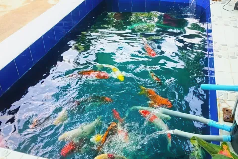 Дом в Паттайе, Таиланд с 4 комнатами № 155536 - фото 5