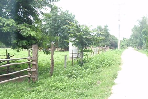 Land in Tak, Thailand 8000 sq.m. № 171799 - photo 10