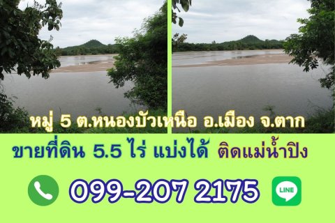 Land in Tak, Thailand 8000 sq.m. № 171799 - photo 3