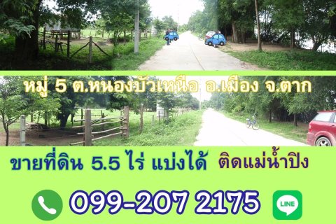 Land in Tak, Thailand 8000 sq.m. № 171799