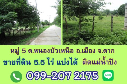 Land in Tak, Thailand 8000 sq.m. № 171799 - photo 4