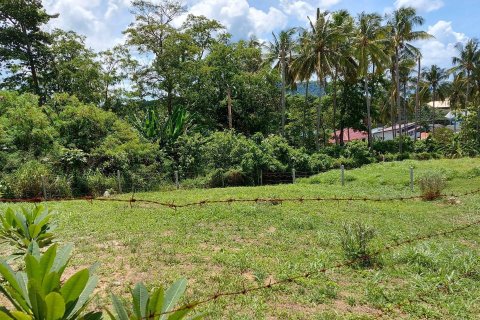 Земельный участок в Пхукете, Таиланд 800м2  № 147589 - фото 3