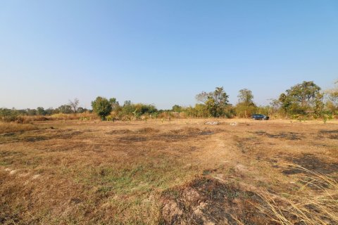 Terrain à Udon Thani, Thaïlande 41600 m2 № 162060 - photo 11