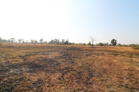 Terrain à Udon Thani, Thaïlande 41600 m2 № 162060 - photo 10