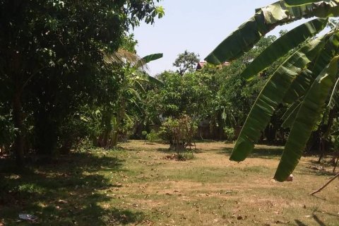 House in Pathum Thani, Thailand 3 bedrooms № 148589 - photo 5