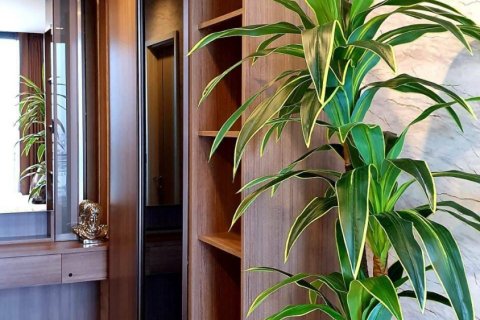 Studio in the Condo in Phaya Thai, Bangkok, Thailand  № 148591 - photo 6