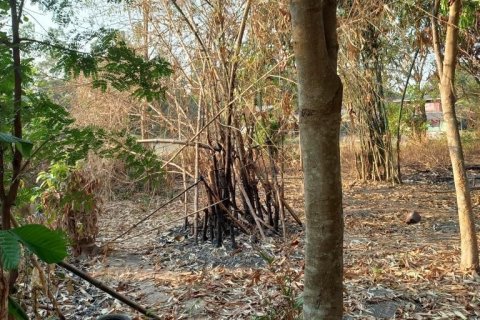 Terrain à Phanom Sarakham, Thaïlande 17600 m2 № 153027 - photo 5