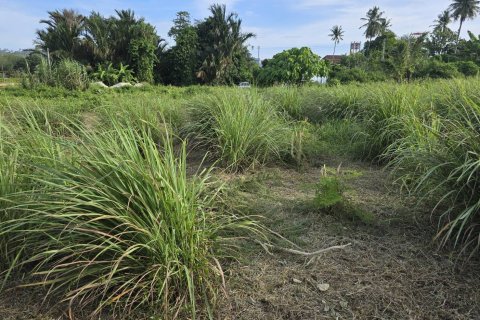 Land in Phuket, Thailand 1864 sq.m. № 147502 - photo 5