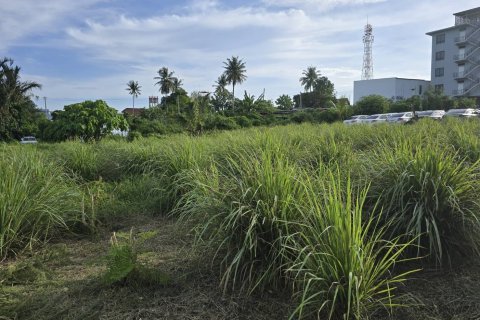 Land in Phuket, Thailand 1864 sq.m. № 147502 - photo 6