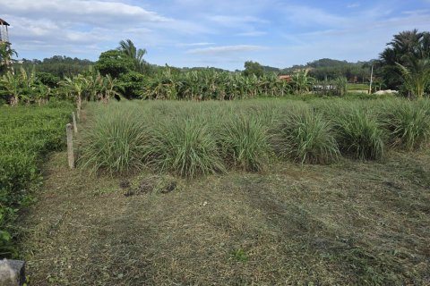 Land in Phuket, Thailand 1864 sq.m. № 147502 - photo 4