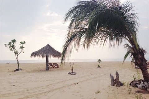 Terrain à Phang Nga, Thaïlande 48000 m2 № 172228 - photo 2