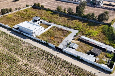 Terrain à Chonburi, Thaïlande № 155740 - photo 5