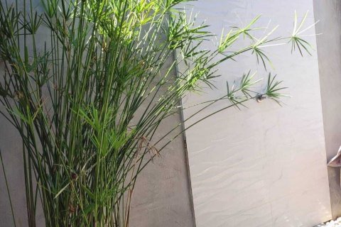 Отель в Хуа Хине, Таиланд  № 158995 - фото 20