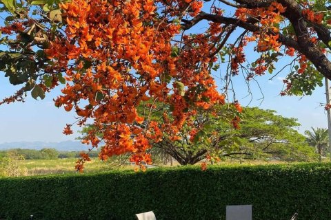 Maison à Pak Chong, Thaïlande 2 chambres № 161675 - photo 11