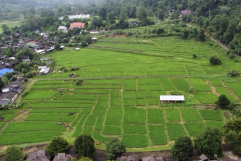 Land in Mae Taeng, Thailand 6400 sq.m. № 171607 - photo 2