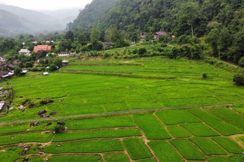 Land in Mae Taeng, Thailand 6400 sq.m. № 171607