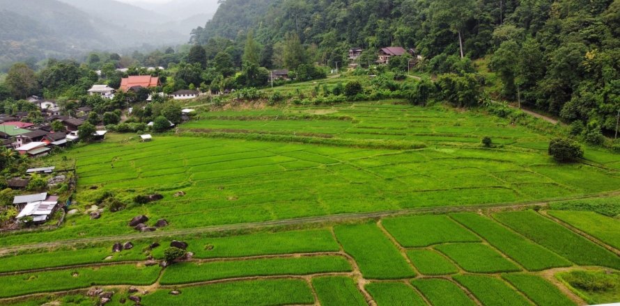 Land in Mae Taeng, Thailand 6400 sq.m. № 171607