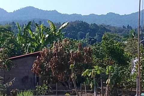 Дом в Лампанге, Таиланд с 2 спальнями  № 142716 - фото 8