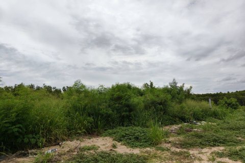 Terrain à Pattaya, Thaïlande 388 m2 № 142717 - photo 6