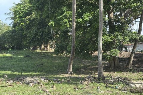 Land in Surat Thani, Thailand № 155300 - photo 1