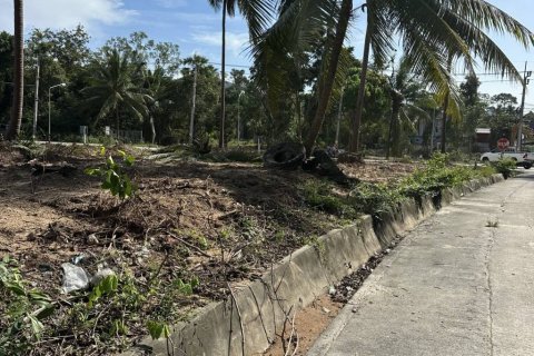 Land in Surat Thani, Thailand № 155300 - photo 4