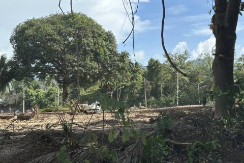 Land in Surat Thani, Thailand № 155300 - photo 8