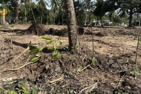 Land in Surat Thani, Thailand № 155300 - photo 7
