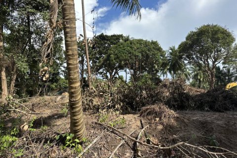 Land in Surat Thani, Thailand № 155300 - photo 5