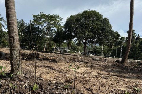 Land in Surat Thani, Thailand № 155300 - photo 3