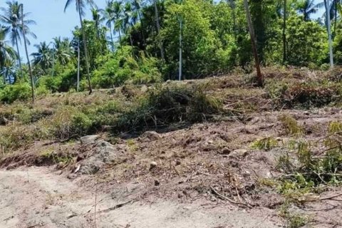 Land in Ko Samui, Thailand 856 sq.m. № 141903 - photo 7