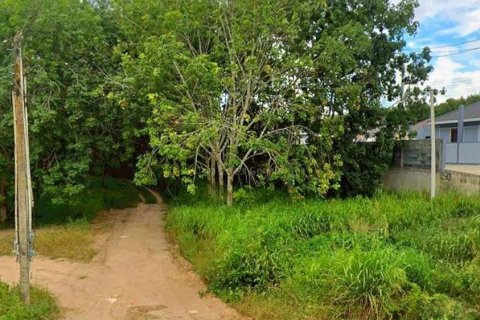 Land in Rayong, Thailand 32000 sq.m. № 153055 - photo 5