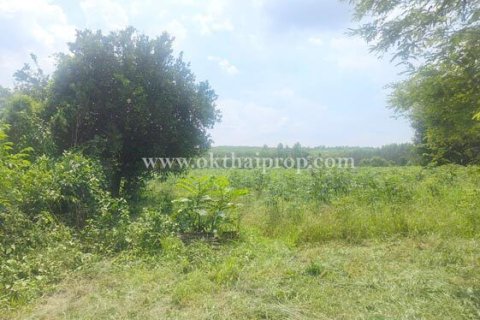 Land in Pattaya, Thailand 17600 sq.m. № 169080 - photo 2