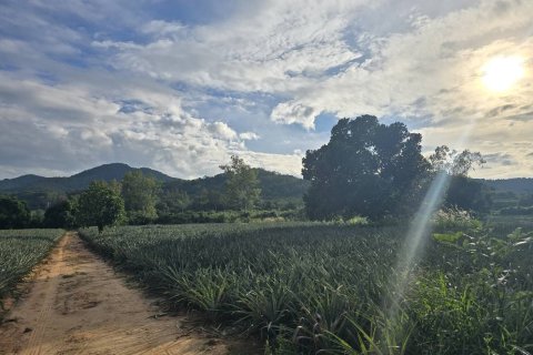 Terrain à Hua Hin, Thaïlande 26992 m2 № 169076