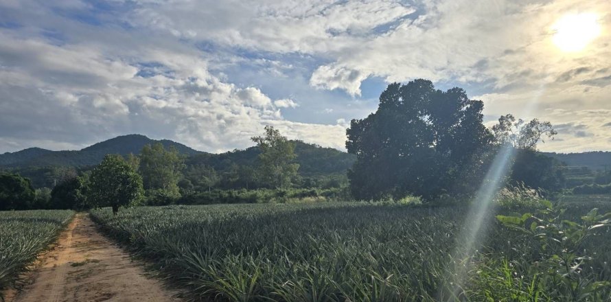Terrain à Hua Hin, Thaïlande 26992 m2 № 169076