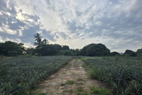 Terrain à Hua Hin, Thaïlande 26992 m2 № 169076 - photo 7