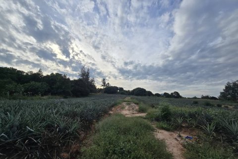 Terrain à Hua Hin, Thaïlande 26992 m2 № 169076 - photo 5